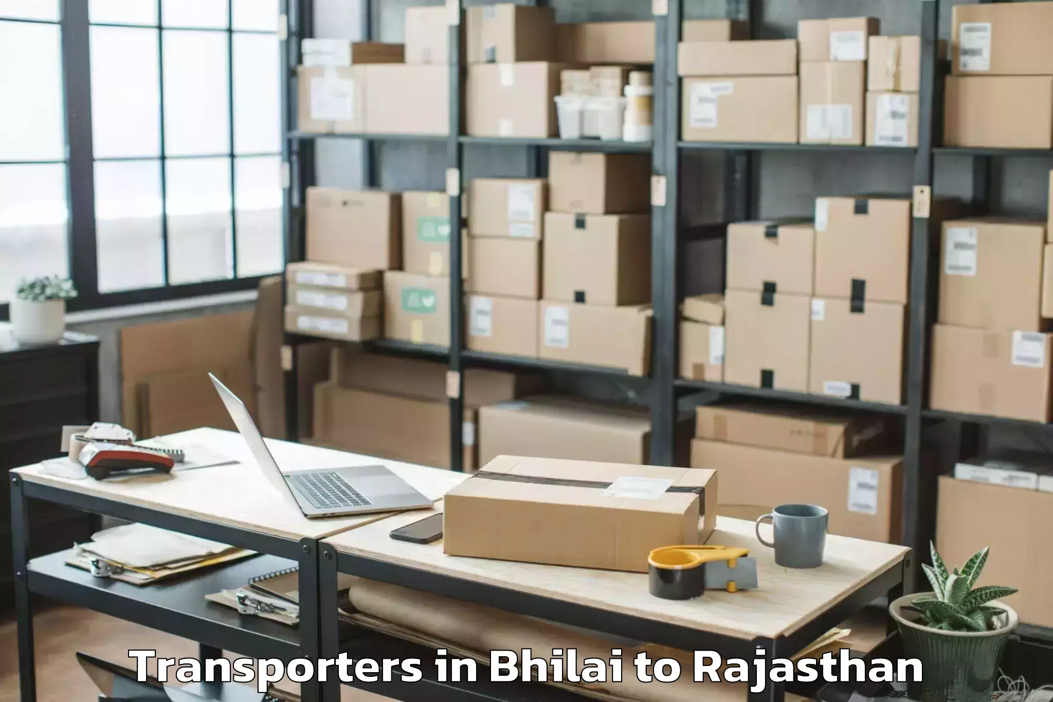 Book Bhilai to Udaypur Transporters Online